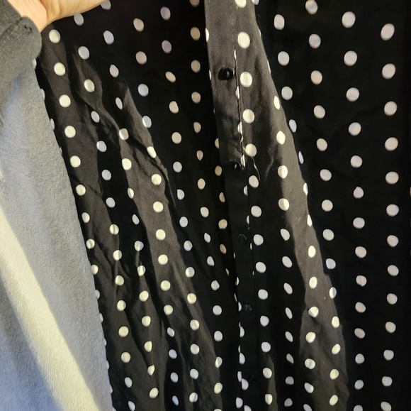 NWOT Zara Polkadot Shirt Style Dress - Picture 4 of 6